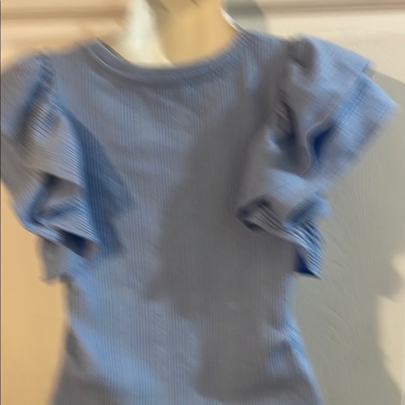 Zara Blue Ruffle Sleeve Blouse - Picture 4 of 6